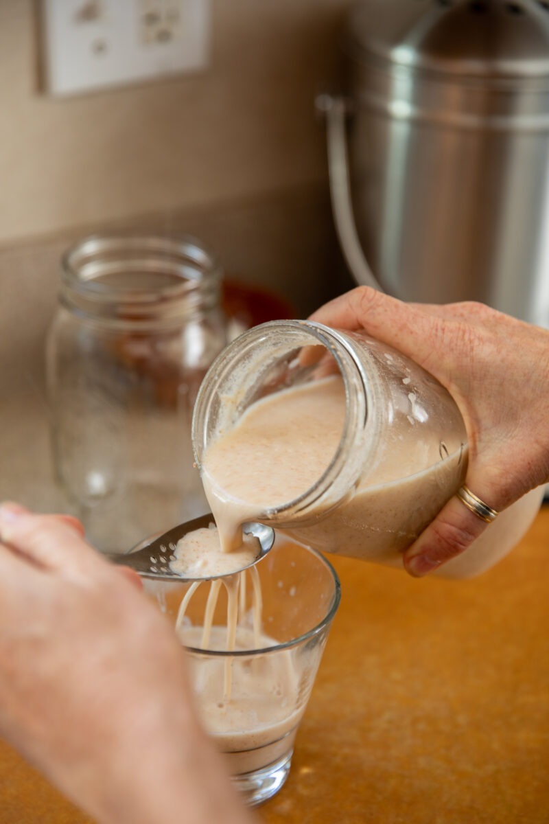 kiszonki to naturalne źródło dobrych bakterii probiotycznych